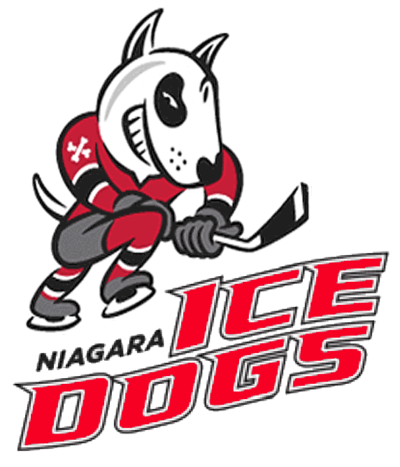 Niagara IceDogs 2007-pres primary logo iron on transfers for T-shirts